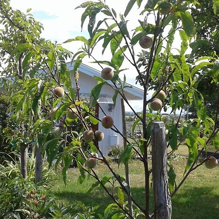 Stuga I Gamla-Koepstad Traslovslage Dış mekan fotoğraf