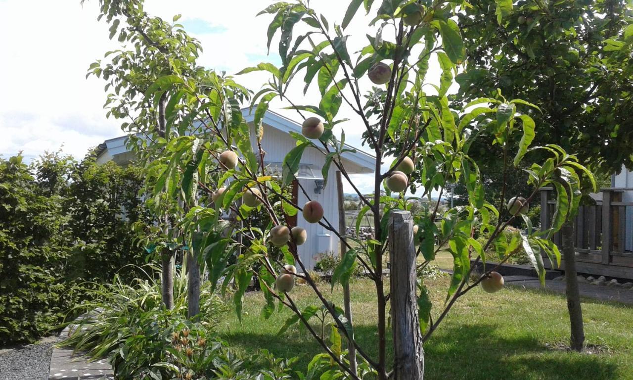 Stuga I Gamla-Koepstad Traslovslage Dış mekan fotoğraf